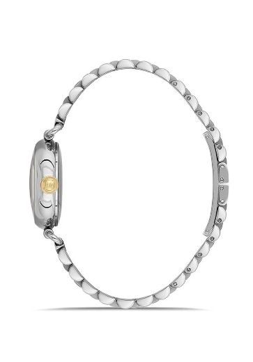 MOMENTUS CW341S-02TG
