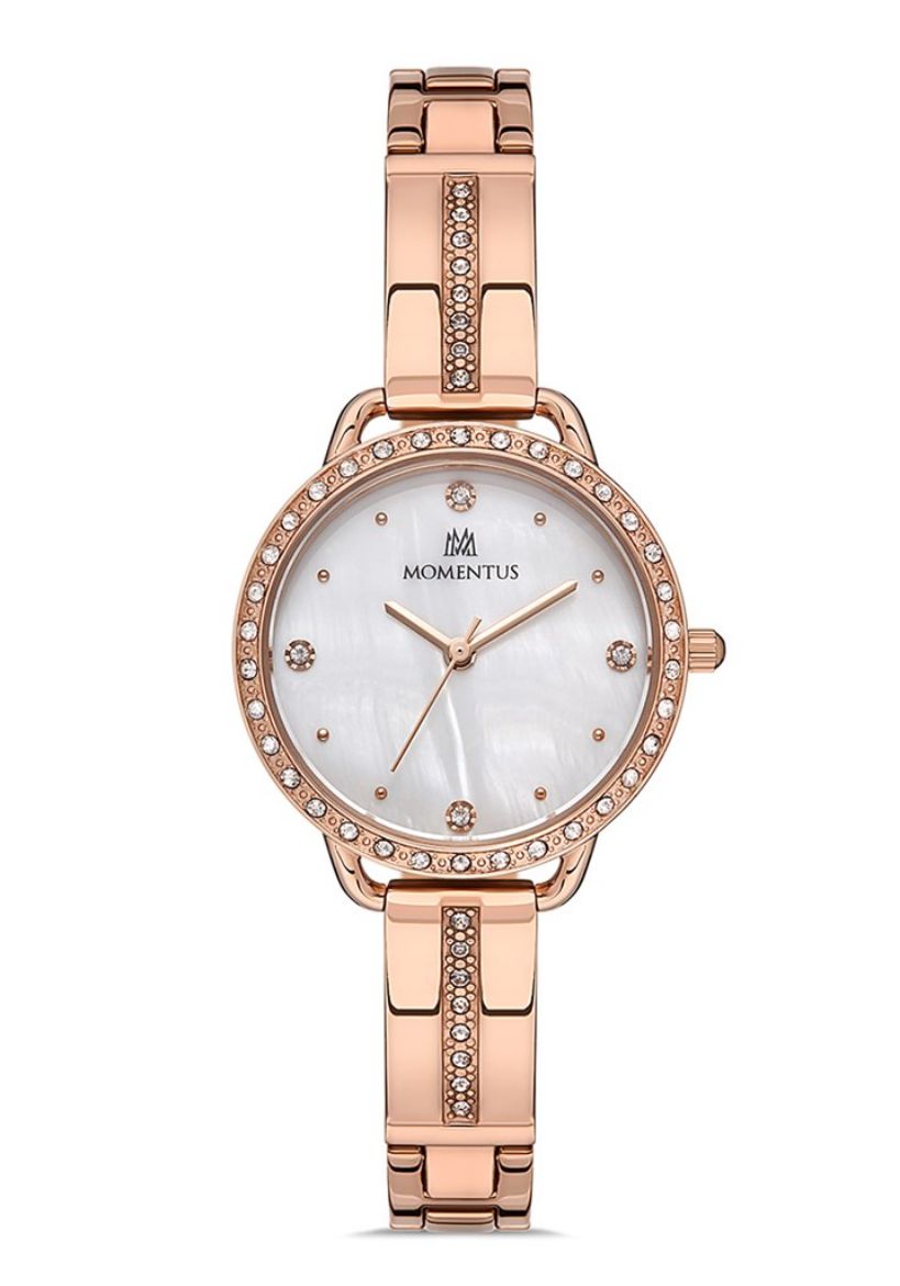 MOMENTUS SW260R-02SR