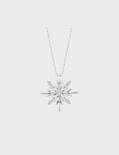 Polars Silver Kolye için detayları göster Polars Silver Kolye resmi